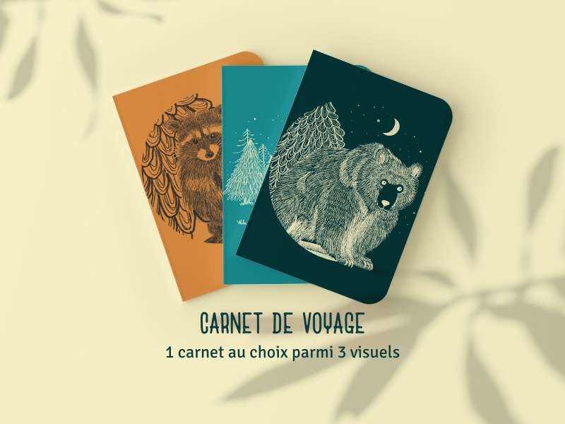 Contrepartie : 1 carnet de voyage