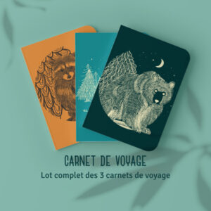 Lot de 3 carnets de voyage