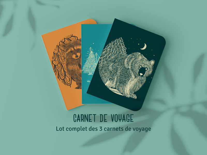 Lot de 3 carnets de voyage